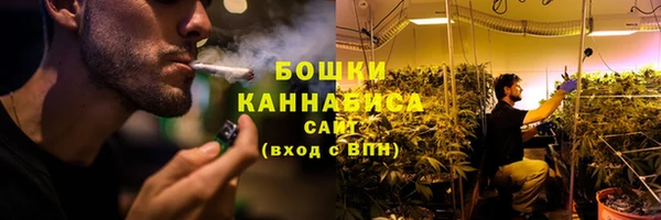 гидропоника Белокуриха