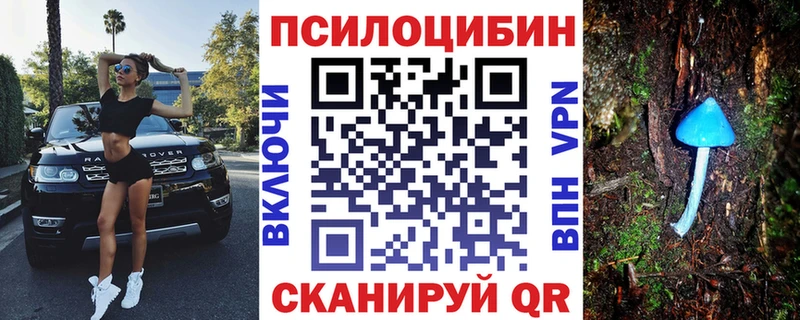 Псилоцибиновые грибы GOLDEN TEACHER Козьмодемьянск